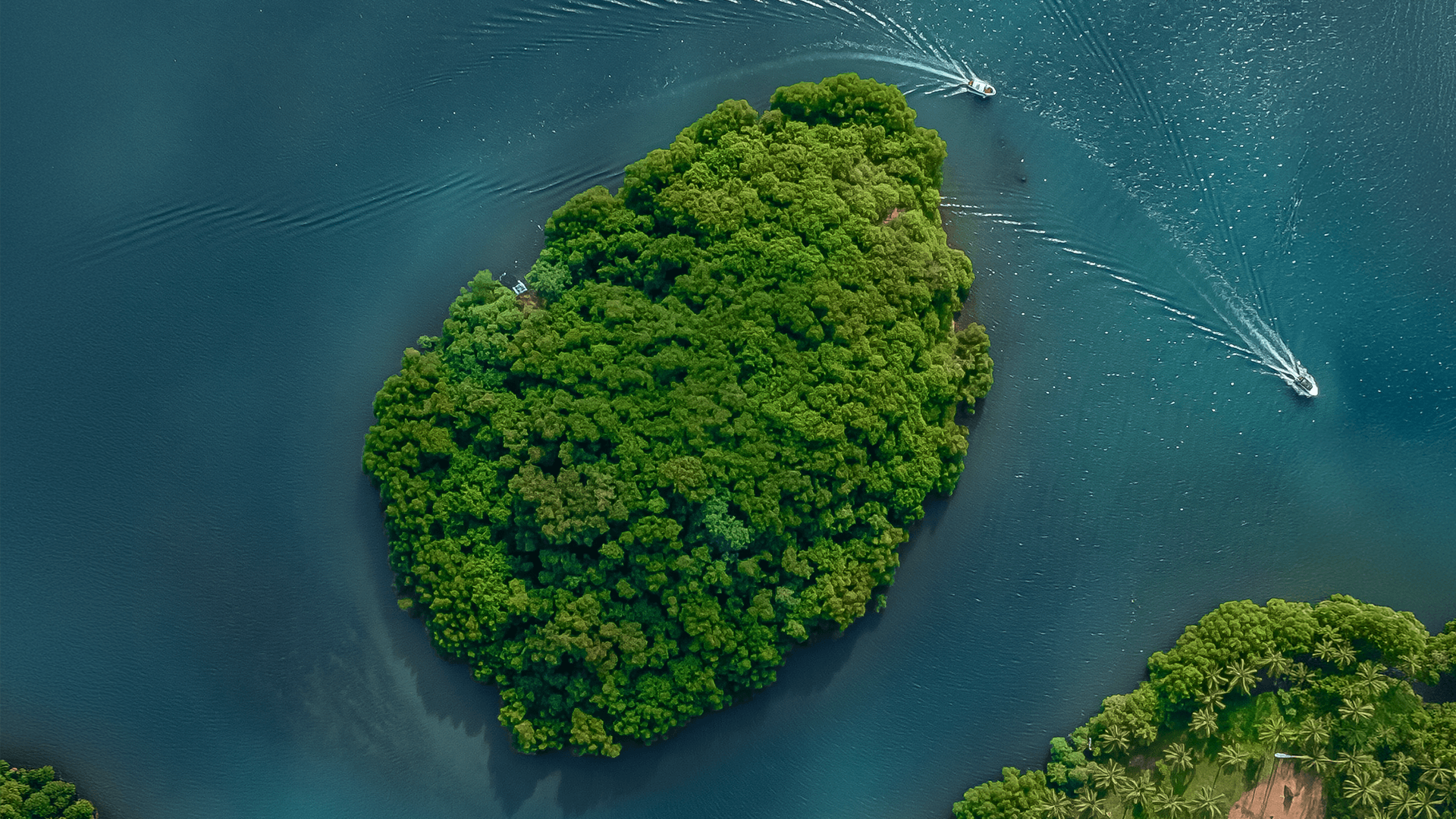 The Islands's Celeste Resonance