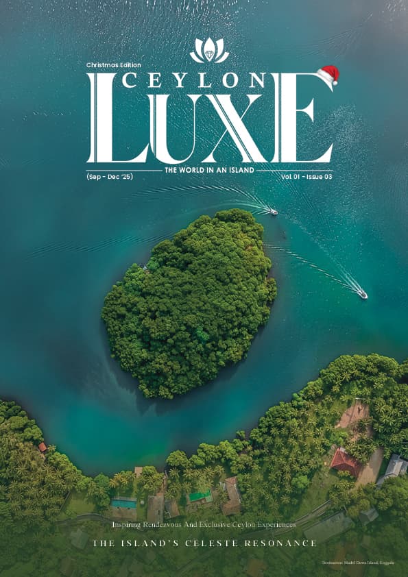 The Islands's Celeste Resonance