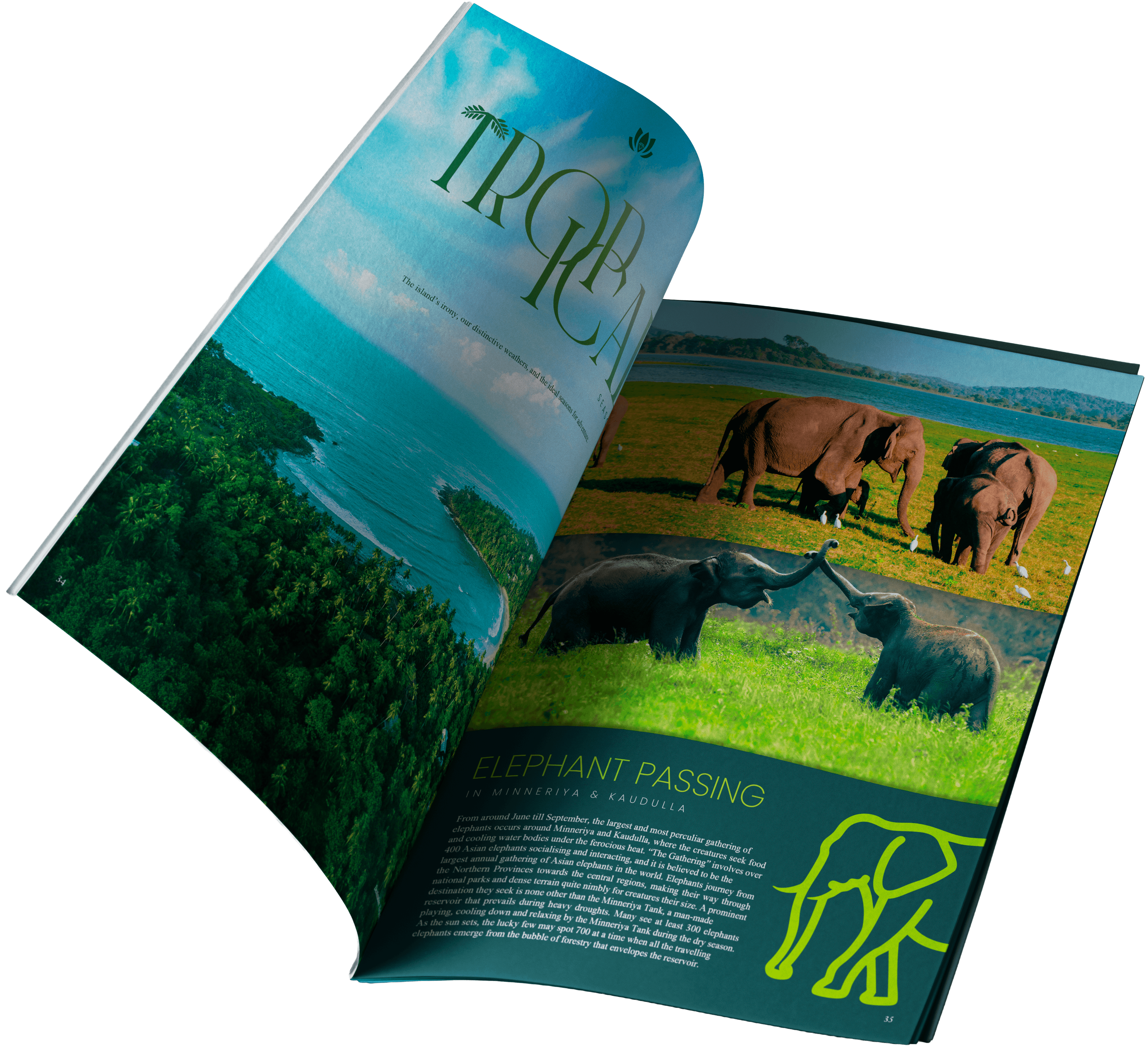 Volume 1 Issue 2