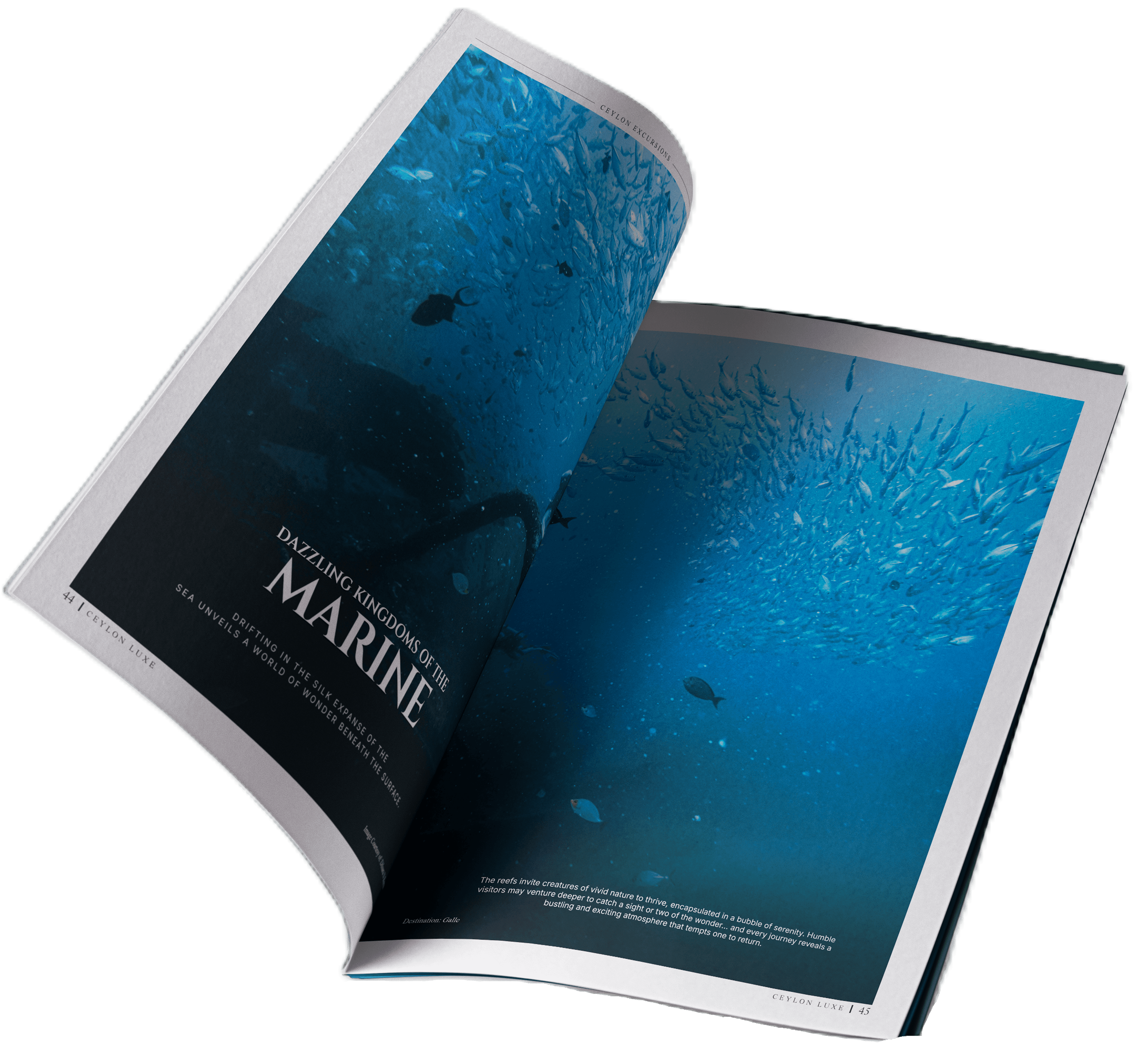 Volume 2 Issue 2